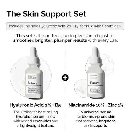 The Ordinary The Skin Support Set