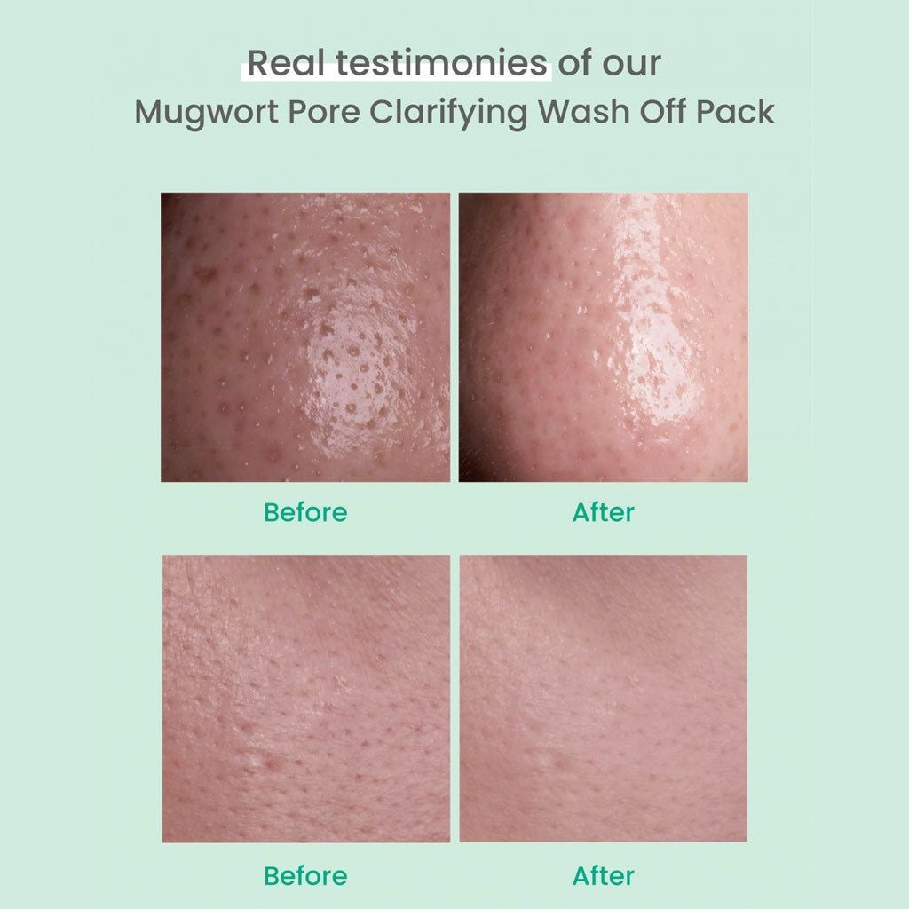 AXIS - Y - Mugwort Pore Clarifying Wash Off Pack