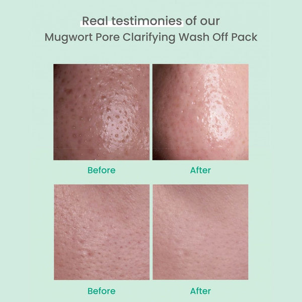 AXIS - Y - Mugwort Pore Clarifying Wash Off Pack