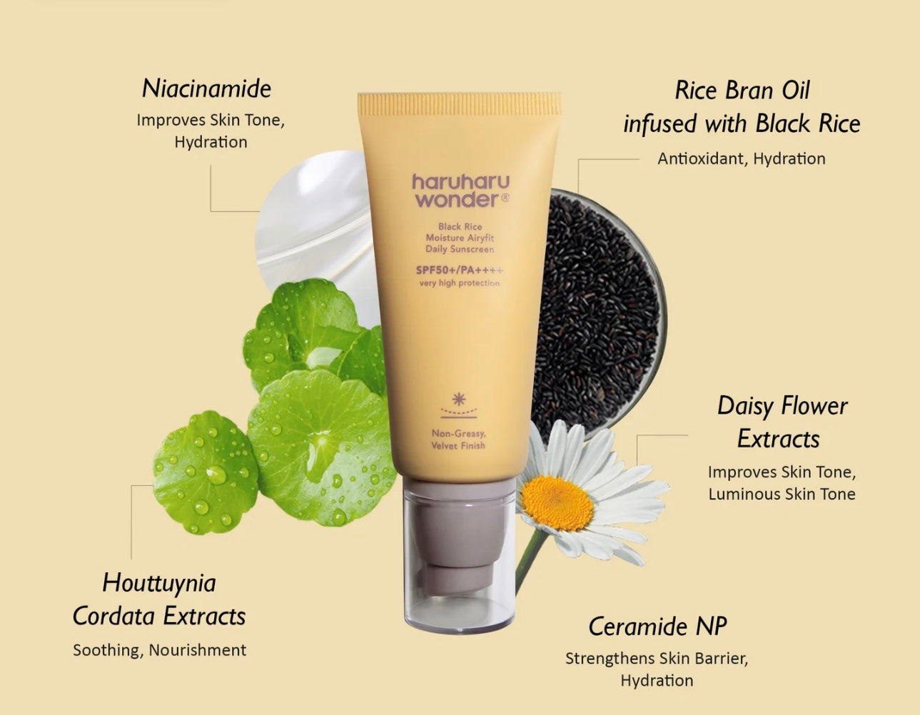 Haruharu WONDER - Black Rice Moisture Airyfit Sunscreen 50 Ml
