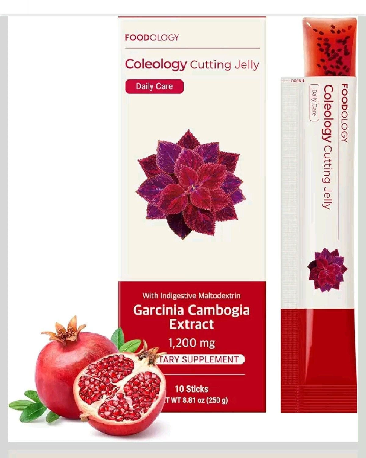 FOODOLOGY Coleology Cutting Stick Jelly