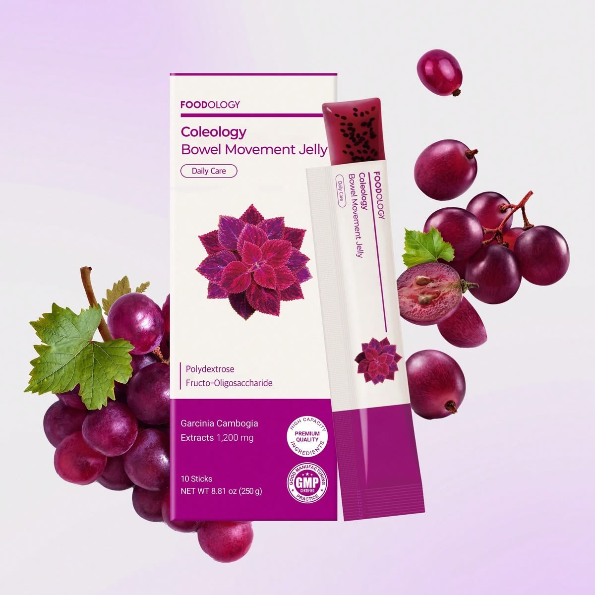 FOODOLOGY Coleology Bowel Movement Jelly