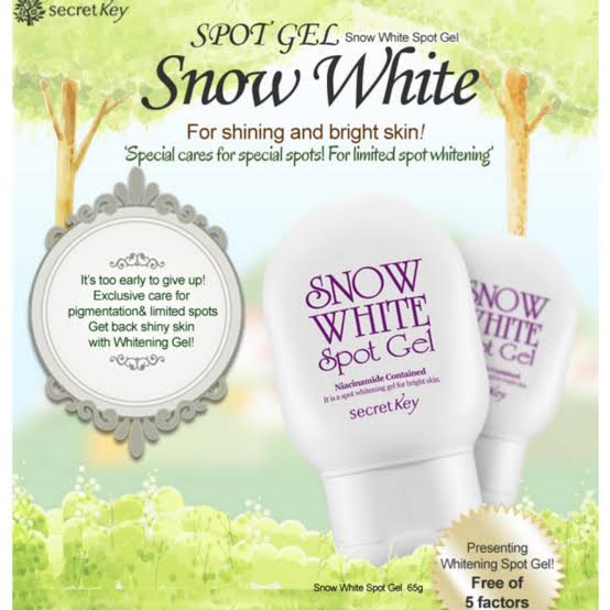 Secret Key - Snow White Spot Gel 65G