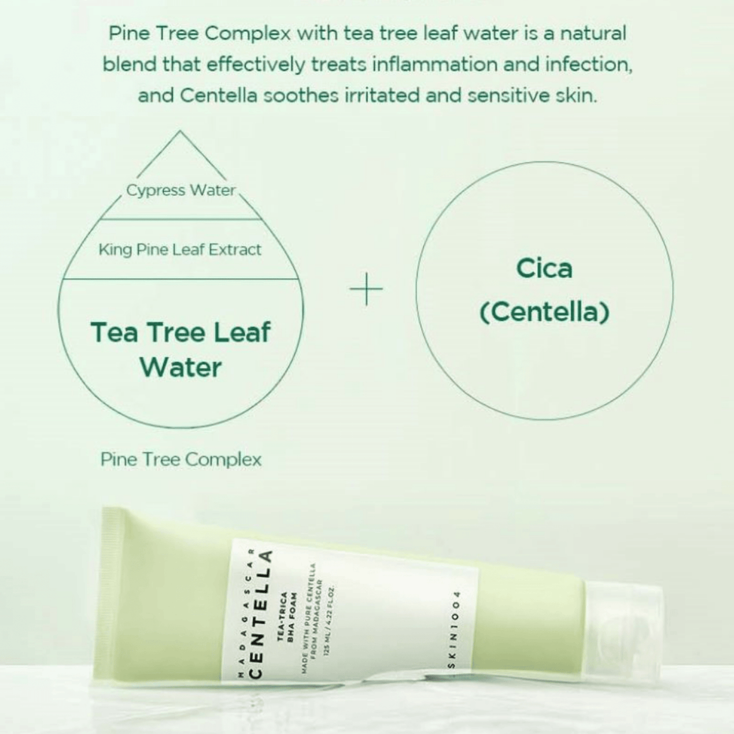 SKIN 1004 - Madagascar Centella Tea-Trica BHA Foam 125ml
