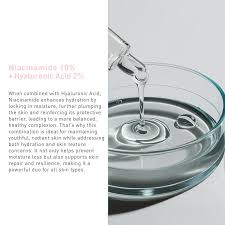 BIONNEX the nordea Niacinamide10%+hyaluronic2%